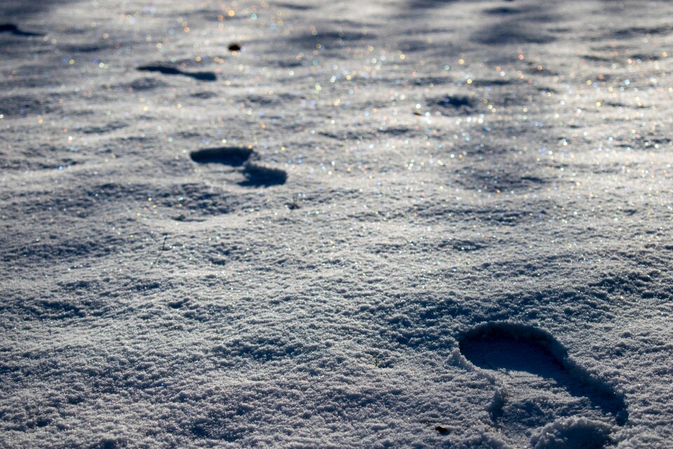 Cold landscapes closeup