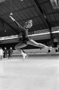 Nederlandse kampioenschappen Kunstrijden S. Dijkstra, Bestanddeelnr 912-2525