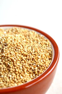 Healthy food nutrition