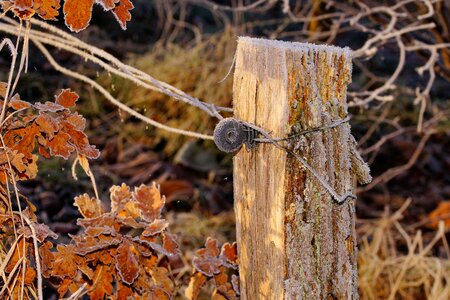 Demarcation iced cold