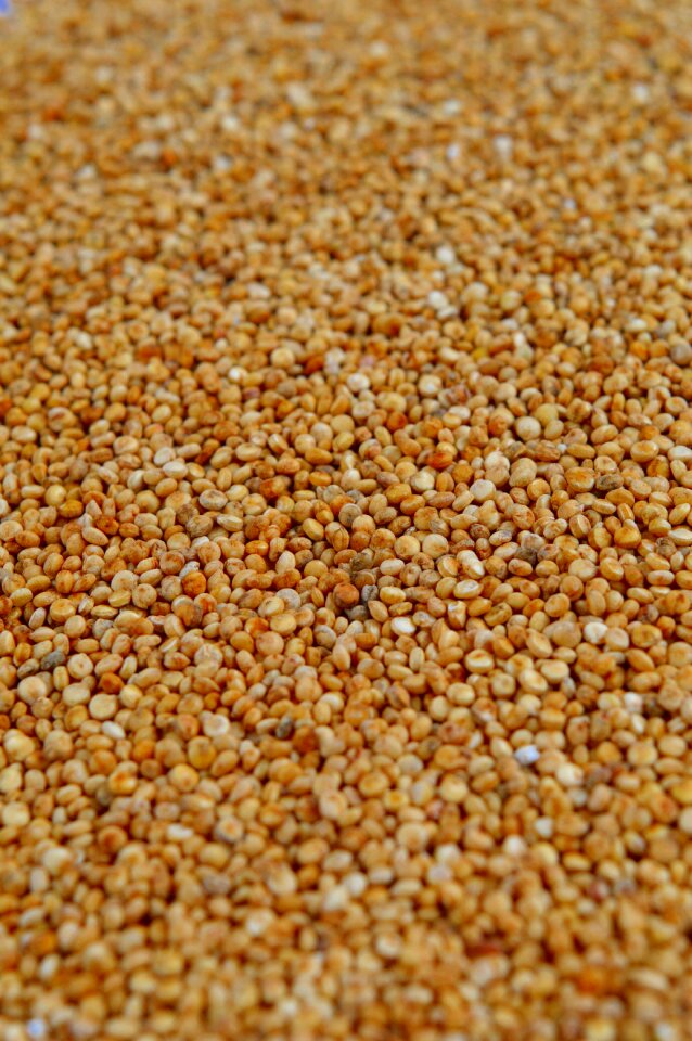 Grain food ingredient