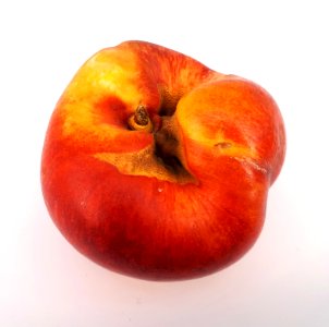 Nectarine hole scab 2017 D1