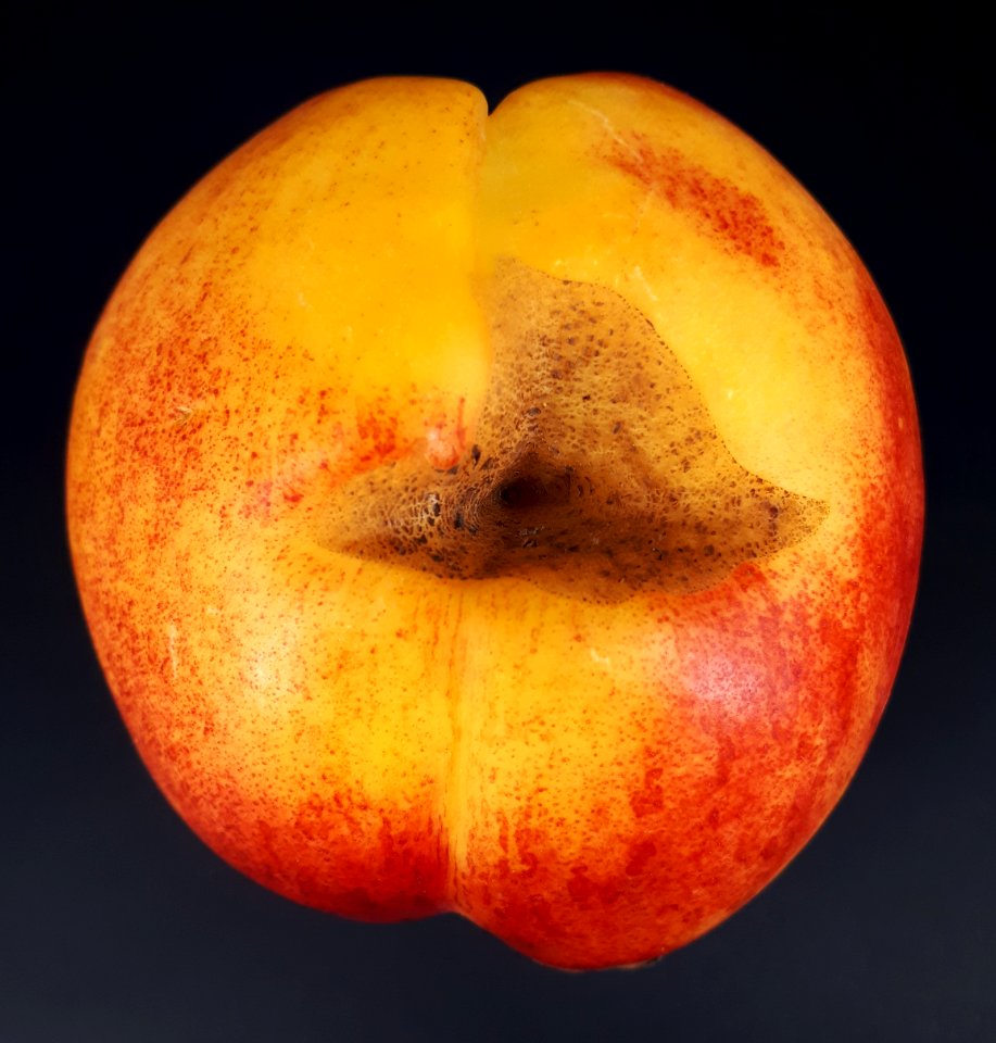 Nectarine hole scab 2017 A3