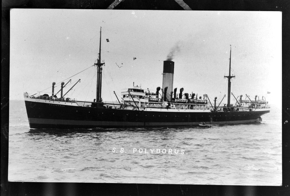 Nederlandse koopvaardijvloot. S.S. Polydorus, Bestanddeelnr 935-3114