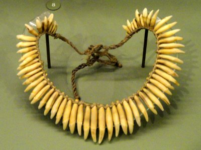 Necklace of ocelot teeth, Ka'apor people (Urubu-Kaapor) - South American objects in the American Museum of Natural History - DSC06062 photo