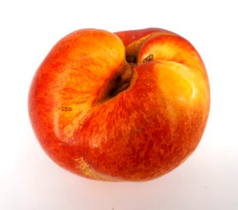 Nectarine hole scab 2017 D2
