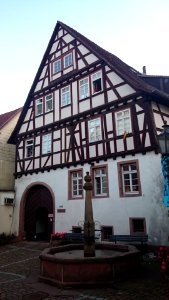 Neckarsteinach 2017 3