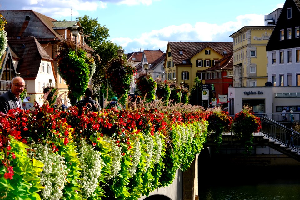 Neckarbruecke-blumenschmuck-westseite