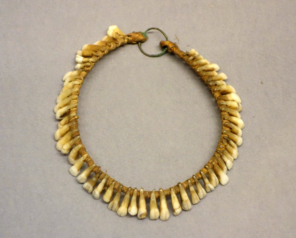 Necklace - Ngbaka - Royal Museum for Central Africa - DSC06510