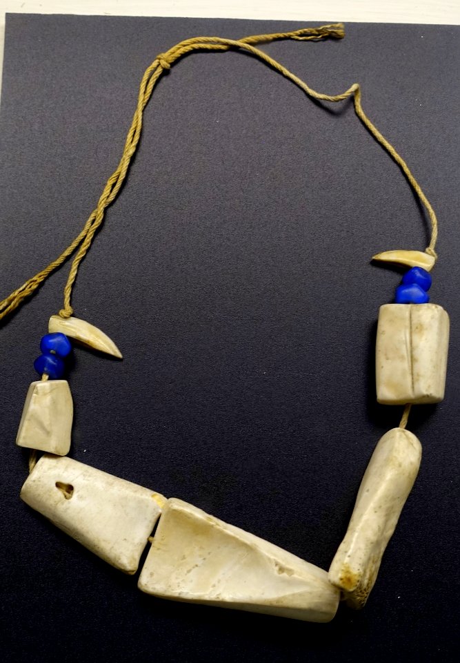 Necklace, Uaupés River region, manatee bone, cotton, tooth, beads - Museu da Ciência da Universidade de Coimbra - University of Coimbra - Coimbra, Portugal - DSC09257
