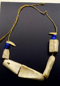Necklace, Uaupés River region, manatee bone, cotton, tooth, beads - Museu da Ciência da Universidade de Coimbra - University of Coimbra - Coimbra, Portugal - DSC09257