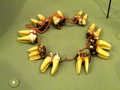 Necklace, tapir teerh, Yanomami - South American objects in the American Museum of Natural History - DSC06067 photo