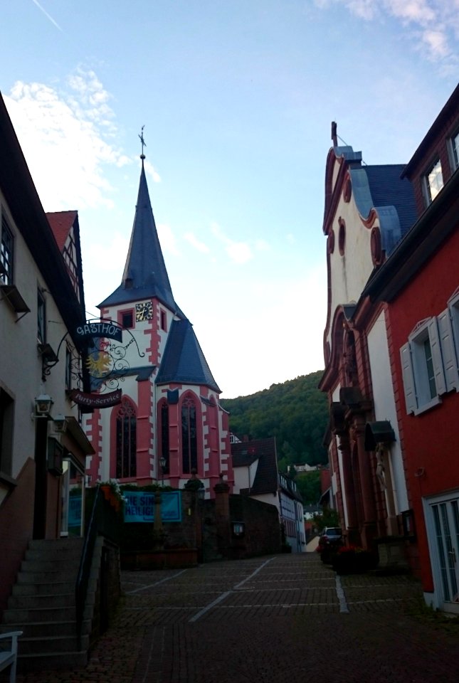 Neckarsteinach 2017 1