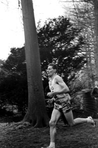 Nederlandse kampioenschappen Cross Country , Nijstad won bij de heren de 10.000 , Bestanddeelnr 917-5080