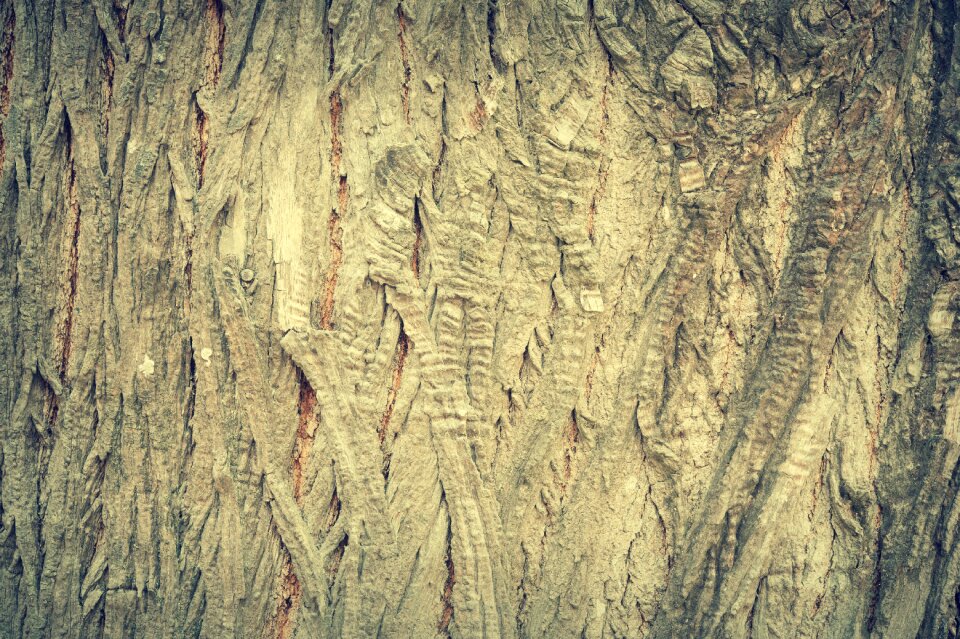 Background bark board