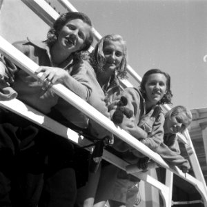 Nederlandse Damesestafetteploeg (4x100 meter) tweede, Bestanddeelnr 902-3549
