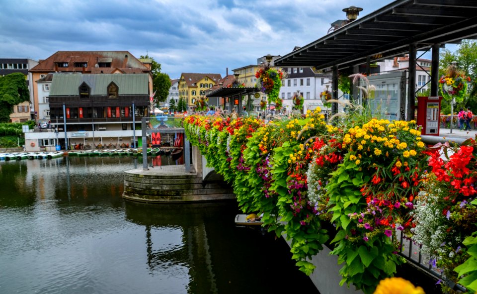 Neckarbruecke-blumen