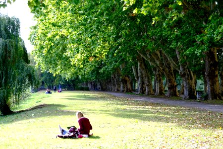 Neckarinsel-mit-sonne photo