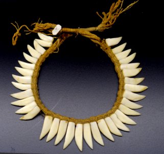 Necklace, Ticuna people, teeth, cotton - Museu da Ciência da Universidade de Coimbra - University of Coimbra - Coimbra, Portugal - DSC09255