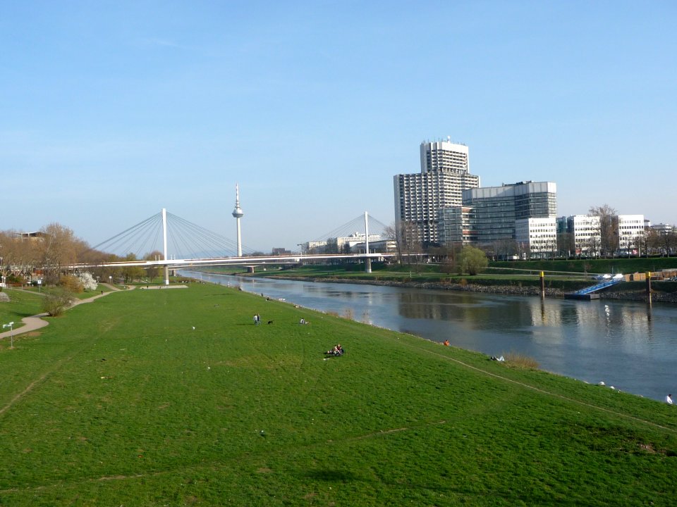 Neckar in Mannheim 06