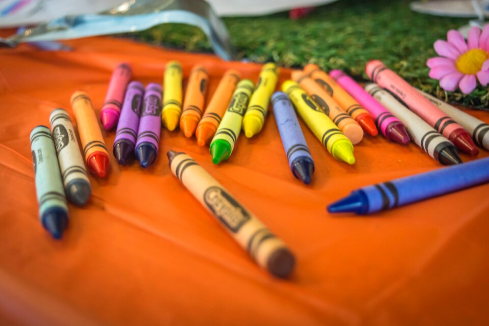 Education color school