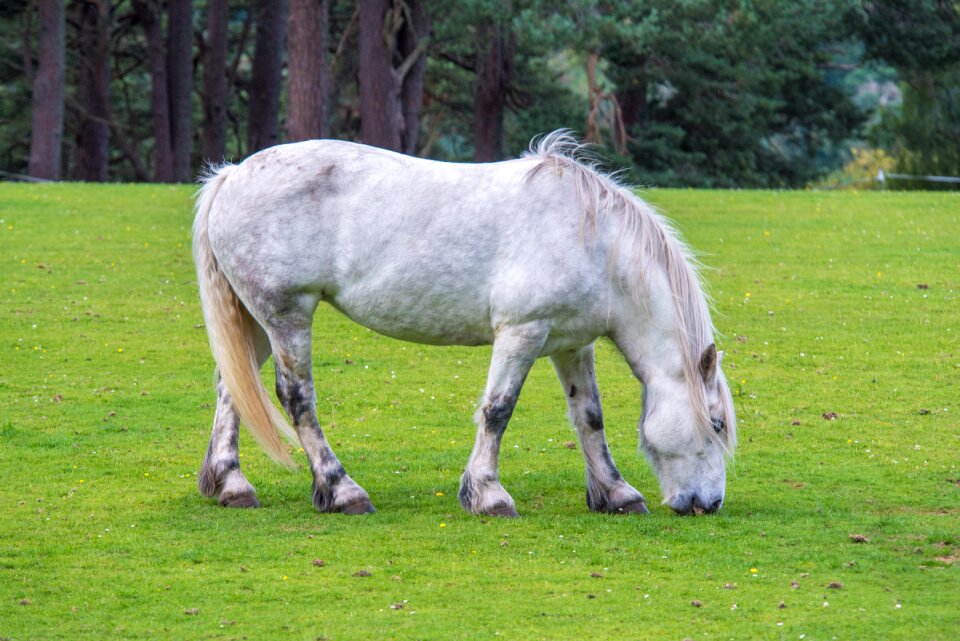 Green background beauty