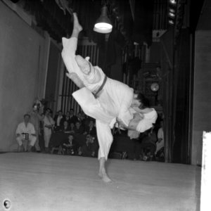 Nederlandse judokampioenschappen te Amsterdam, H Essink en H Schippers, Bestanddeelnr 912-0324 photo