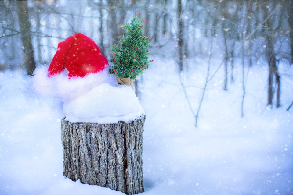 Christmas santa hat