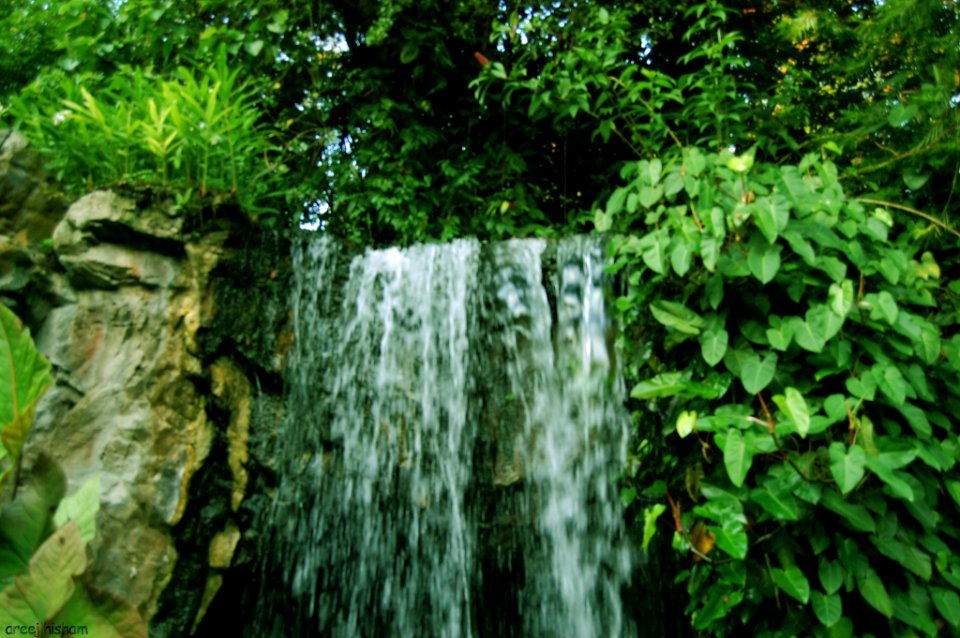 Nature At Finest (169879329)