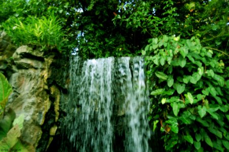 Nature At Finest (169879329)