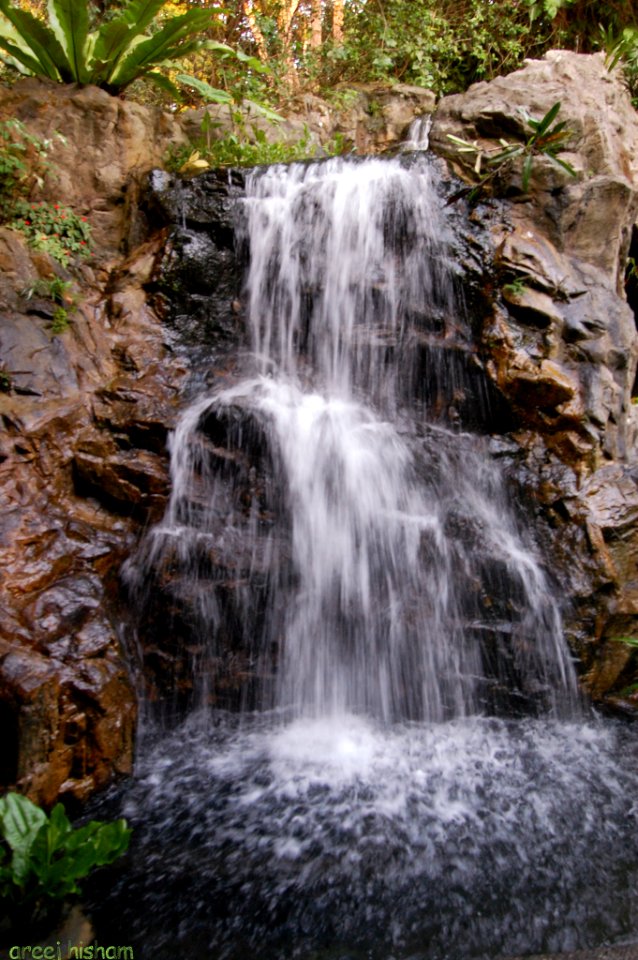 Nature At Finest (169879313)