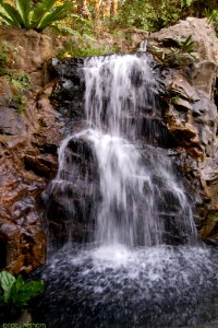 Nature At Finest (169879313)