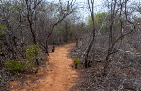 Nature in Isla Margarita 01