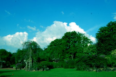 Nature At Finest (169879259)