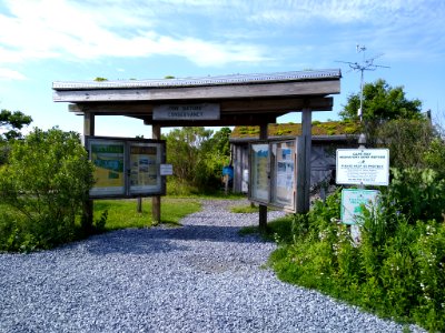 Nature Conservancy South Cape May Meadows Preserve B