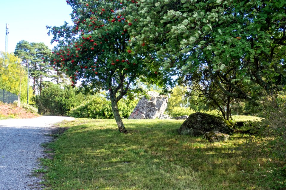 Naulatehtaanpuisto Uittamo Turku