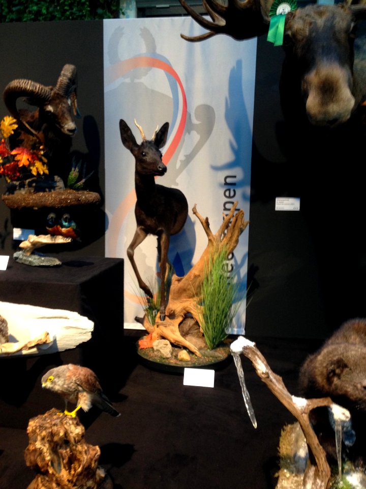 Natuurmuseum Fryslân - NK Prepareren - ensemble 08