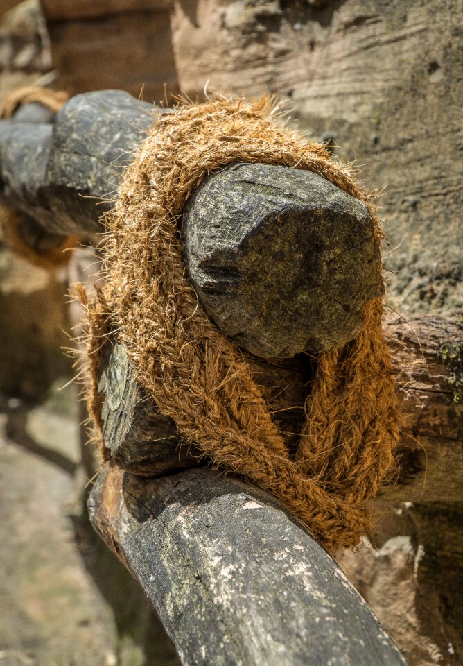 Background wood nature