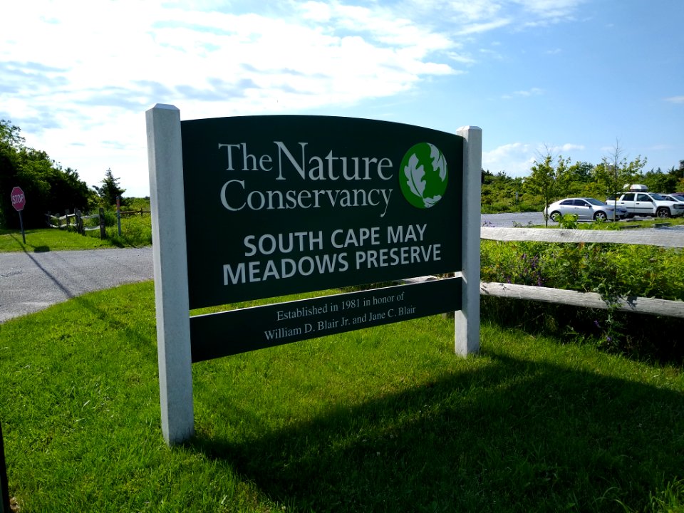 Nature Conservancy South Cape May Meadows Preserve