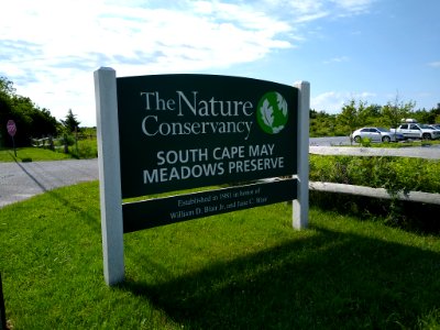 Nature Conservancy South Cape May Meadows Preserve