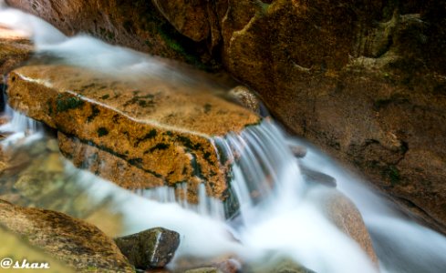 Nature (221076517)