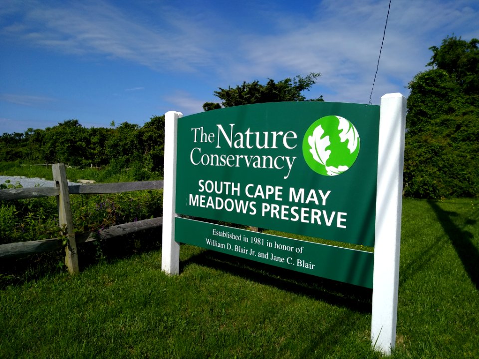 Nature Conservancy South Cape May Meadows Preserve A