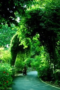 Nature At Finest (169879201)