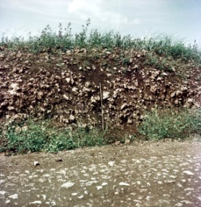 Natuurschoon, Bestanddeelnr 250-8293