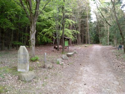 Naturdenkmal 1000-jährige Linde und Grabhügel von Vierde, Heidekreis, 2020