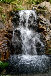 Nature At Finest (169879427)