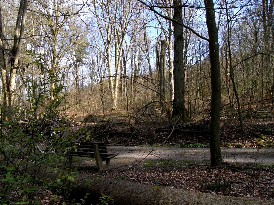 ND Speierling BN 440.247 R0012518