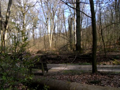 ND Speierling BN 440.247 R0012518