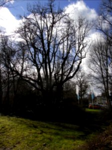 ND Speierling am Amtsgericht R0011622