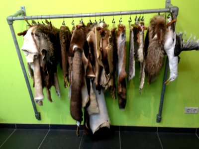 Natuurmuseum Fryslân - atelier 2